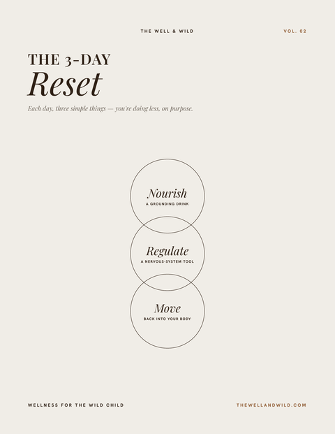The 3-Day Reset guide cover